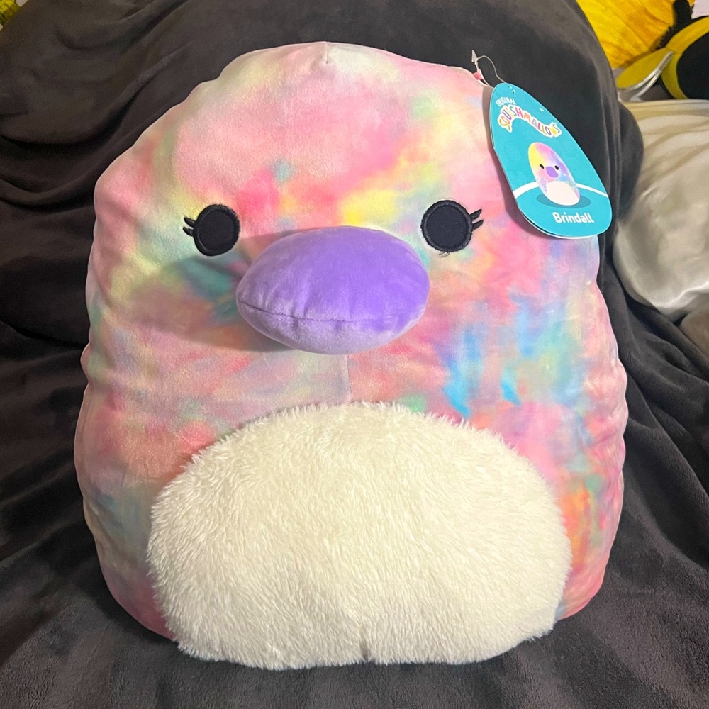 Brindall the Platypus 16” Squishmallow, brand new with tag